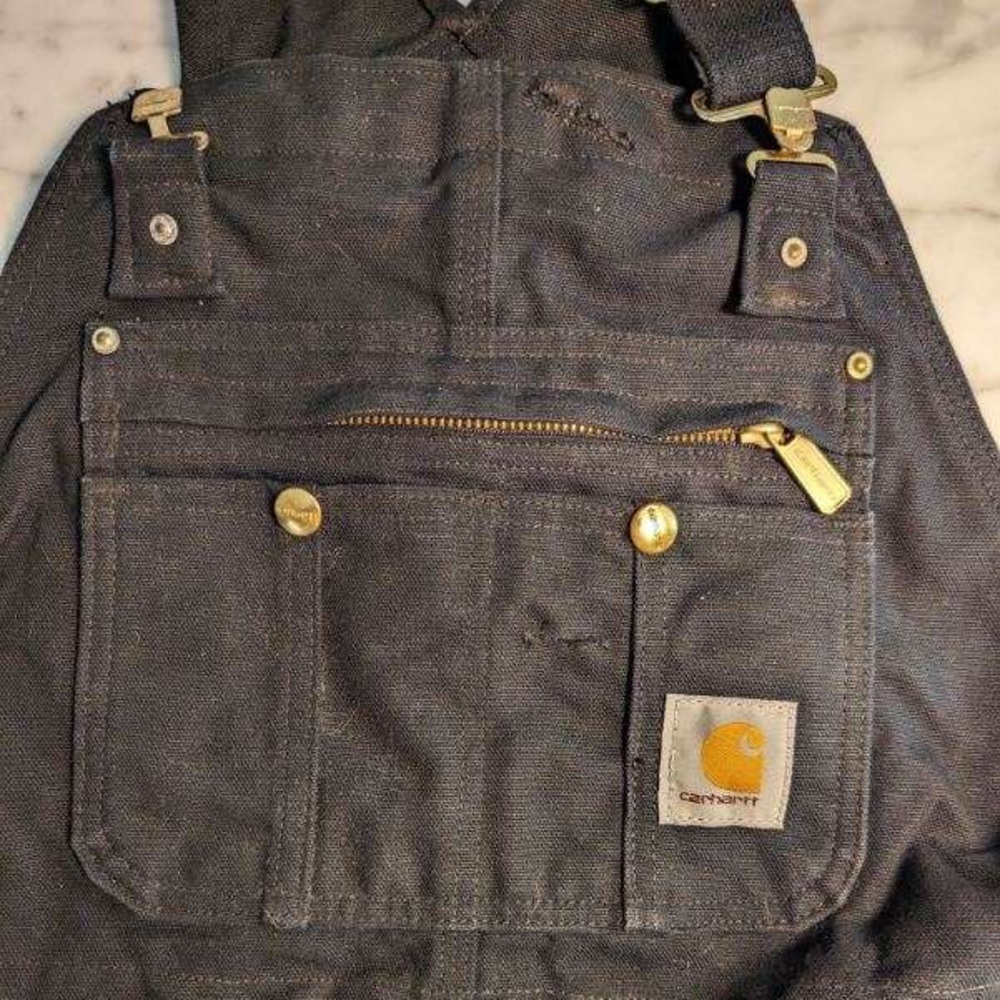 Carhartt mens Loose Fit Firm Duck Insulated Bib Overall